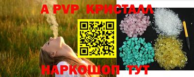 амф Кингисепп