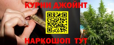амф Кингисепп