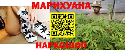 амф Кингисепп
