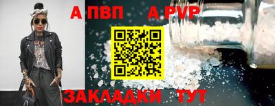 амф Кингисепп