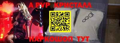 амф Кингисепп