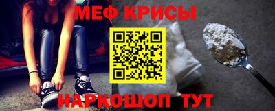амф Кингисепп