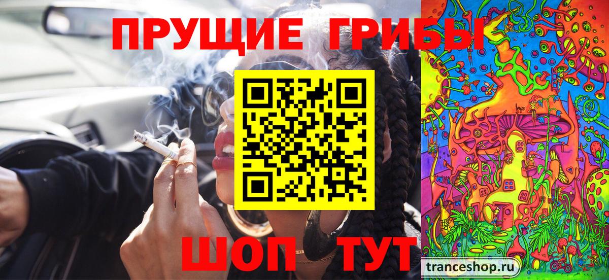 Псилоцибиновые грибы GOLDEN TEACHER Тверь